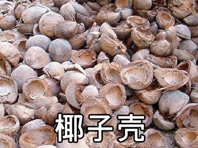 椰子殼