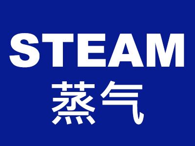STEAM蒸氣 