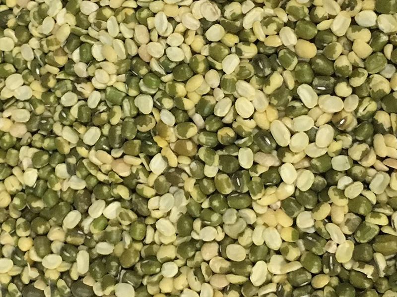 mung bean