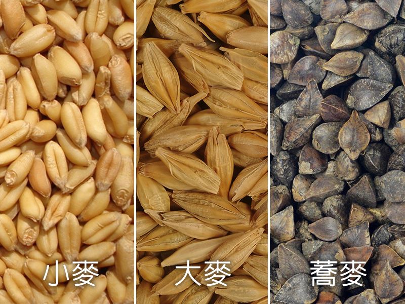 三久乾燥機可乾燥各種麥類，小麥、大麥、蕎麥