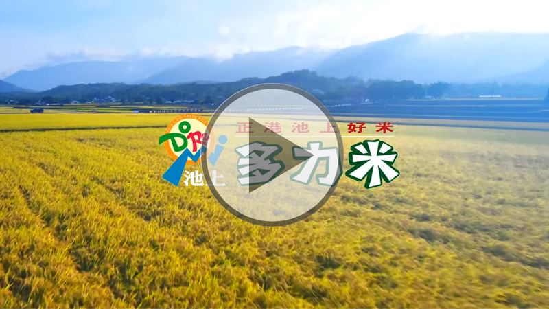 池上多粒米
